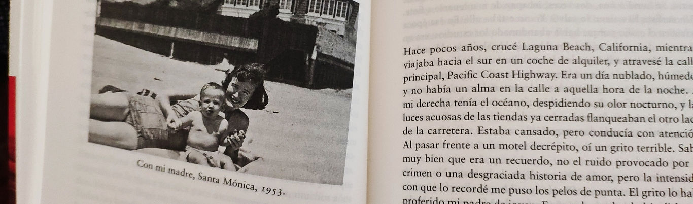 Años salvajes de William Finnegan Años salvajes william finnegan